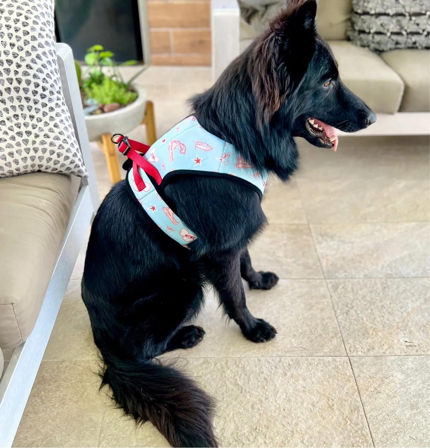 3 in 1 Chilled Doggie | Cooling & Anti-Anxiety Pet Harness | Waves & Sun