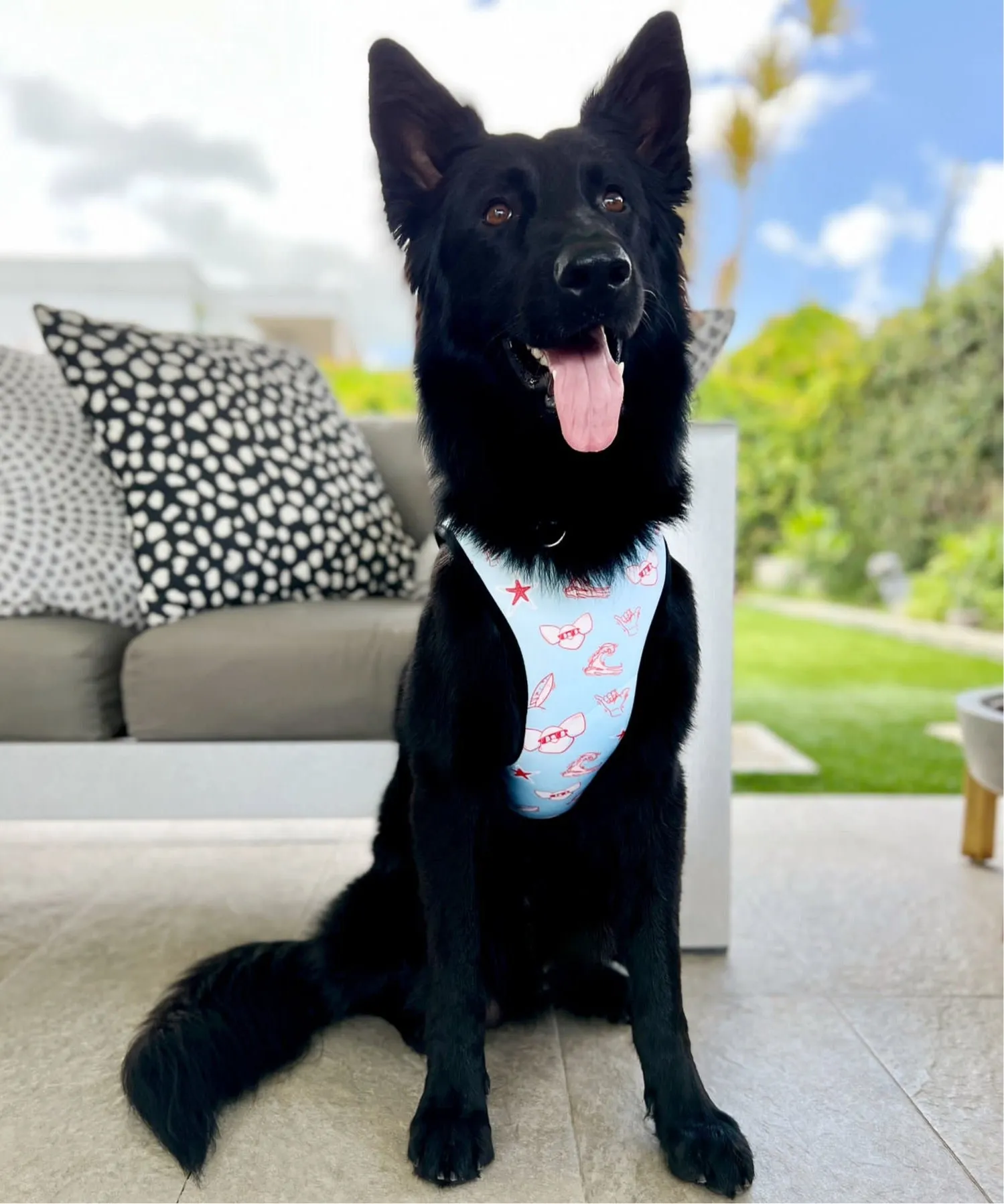 3 in 1 Chilled Doggie | Cooling & Anti-Anxiety Pet Harness | Waves & Sun