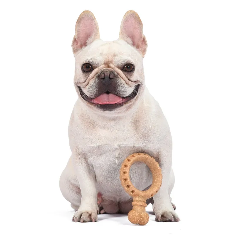 Arm & Hammer: Barkies 5.5" PP   Pine Saw Dust Ring Dental Toy