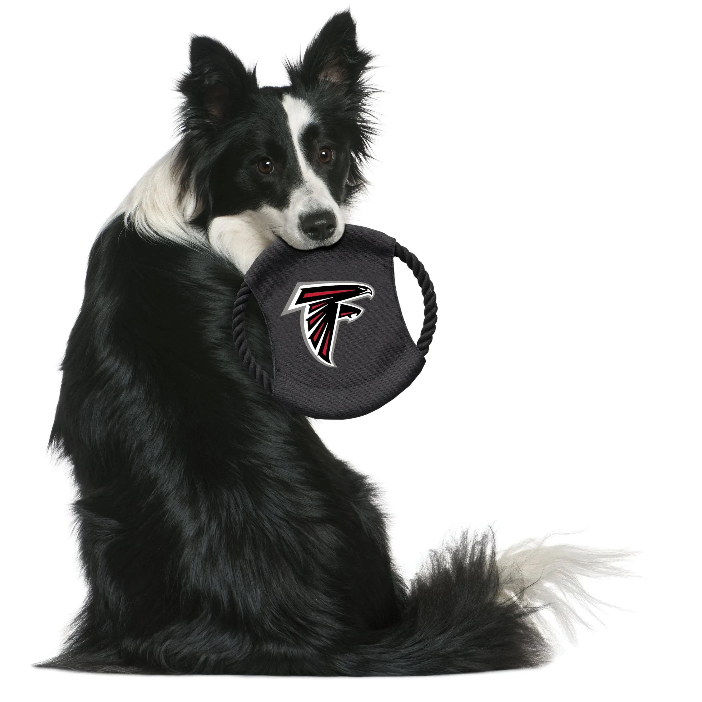 Atlanta Falcons Flying Disc Toy