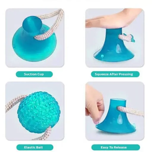 Basil Toy Vaccum with rope and ball