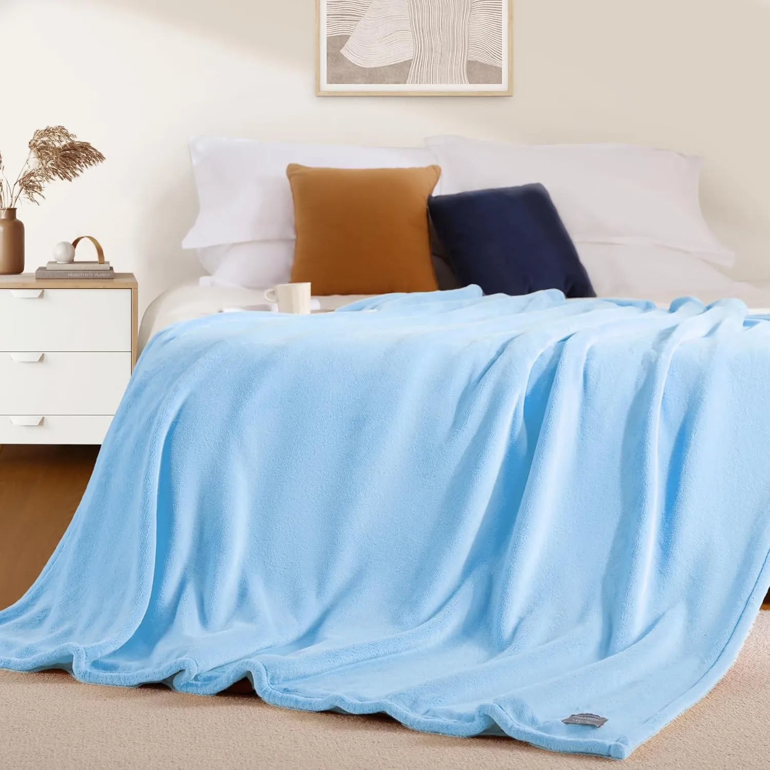 BEAUTEX Fleece Throw Blanket for Couch Sofa or Bed Throw Size Soft Fuzzy Plush Blanket, Luxury Flannel Lap Blanket, Super Cozy and Comfy for All Seasons (Baby Blue, 50" x 60")