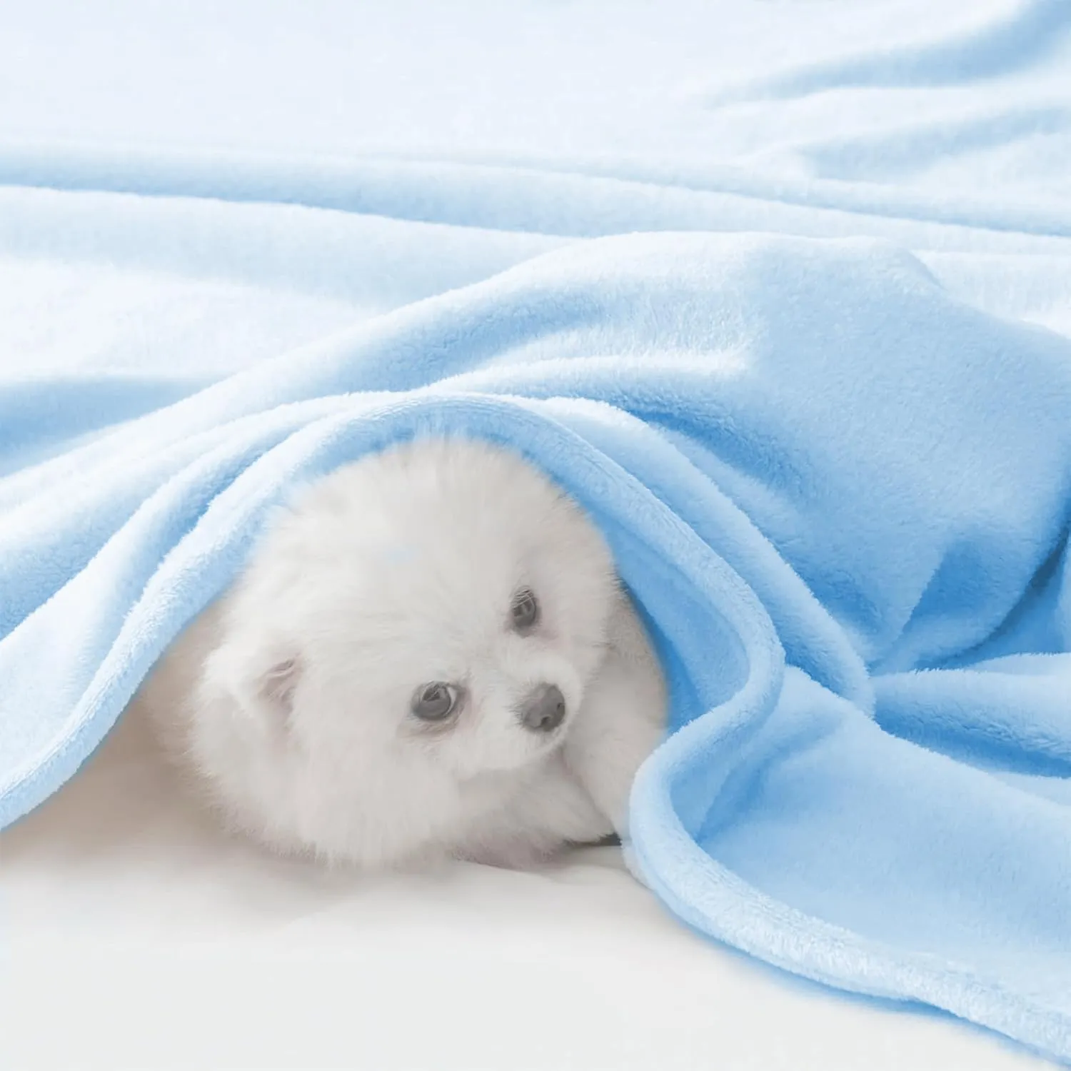 BEAUTEX Fleece Throw Blanket for Couch Sofa or Bed Throw Size Soft Fuzzy Plush Blanket, Luxury Flannel Lap Blanket, Super Cozy and Comfy for All Seasons (Baby Blue, 50" x 60")