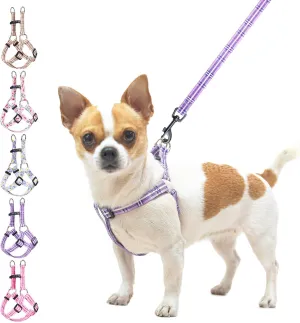 BEAUTYZOO No Pull Dog Harness and Leash Set - Adjustable Step-in Puppy Harness for Small Medium Large Dogs, Escape Proof Soft Nylon Vest with Double D Ring for Walking Running Training, Purple S