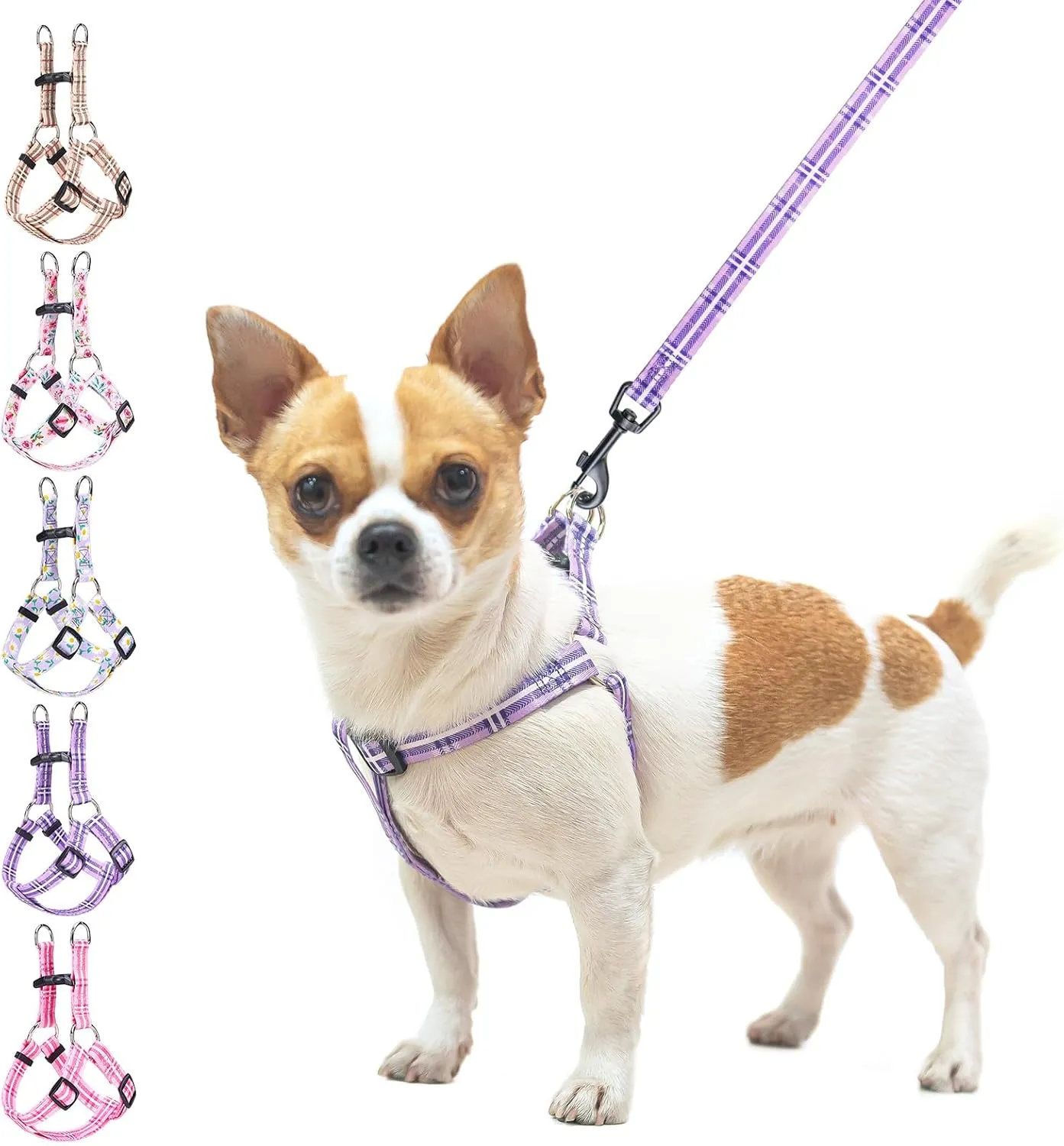 BEAUTYZOO No Pull Dog Harness and Leash Set - Adjustable Step-in Puppy Harness for Small Medium Large Dogs, Escape Proof Soft Nylon Vest with Double D Ring for Walking Running Training, Purple S