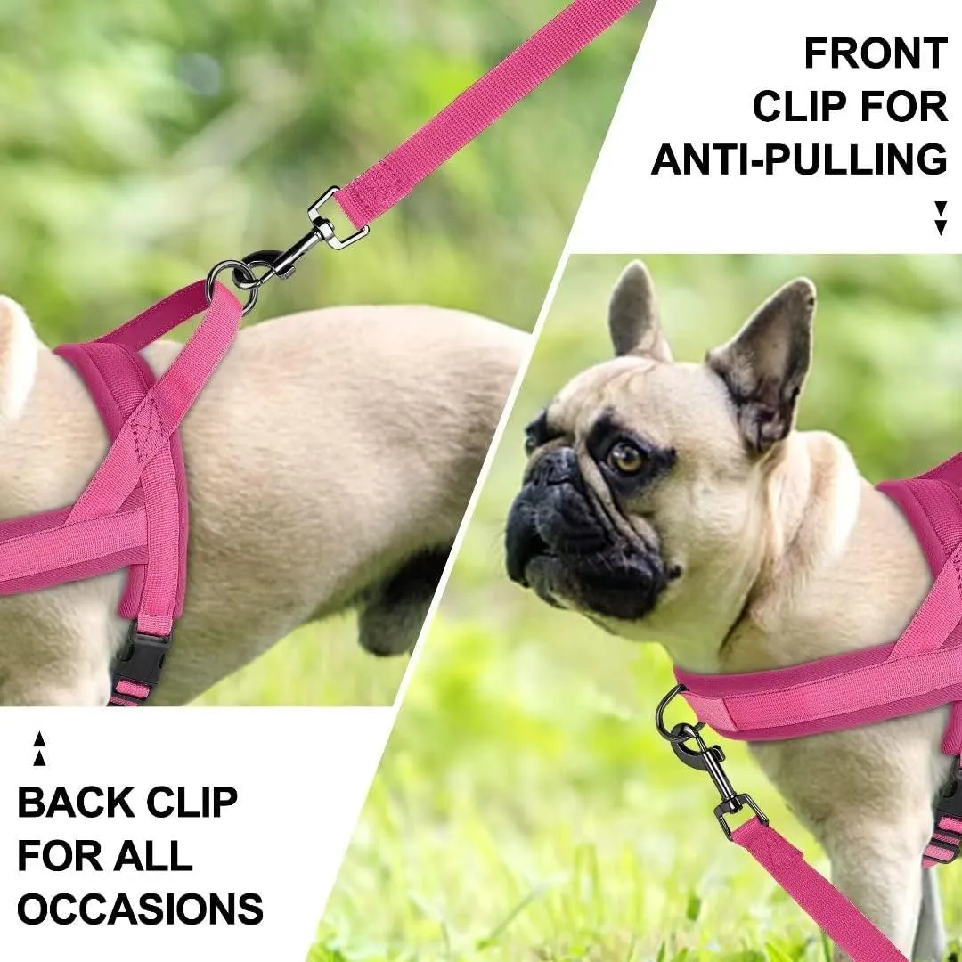 Beirui No Pull Dog Harness for Small Medium Dogs Puppies, Soft Neoprene Quick Fit Harness with Durable Front Clip & Back Clip, Lightweight Easy for Daily Walking (Hot Pink,M)