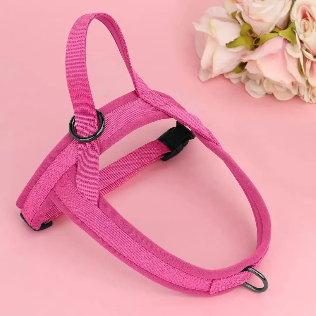 Beirui No Pull Dog Harness for Small Medium Dogs Puppies, Soft Neoprene Quick Fit Harness with Durable Front Clip & Back Clip, Lightweight Easy for Daily Walking (Hot Pink,M)