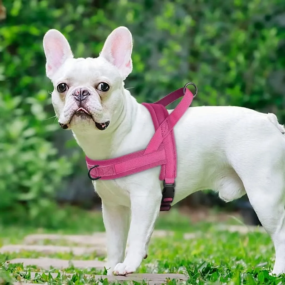 Beirui No Pull Dog Harness for Small Medium Dogs Puppies, Soft Neoprene Quick Fit Harness with Durable Front Clip & Back Clip, Lightweight Easy for Daily Walking (Hot Pink,M)
