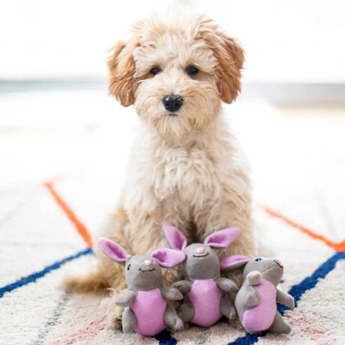 Bunny 'n Carrot Burrow Puzzle Dog Toy