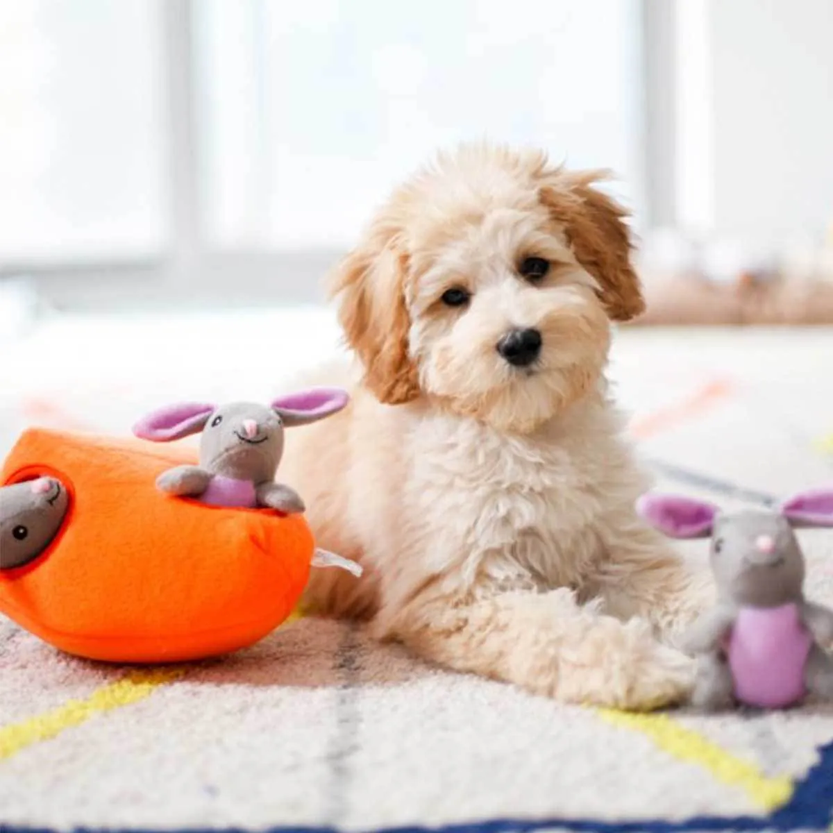 Bunny 'n Carrot Burrow Puzzle Dog Toy