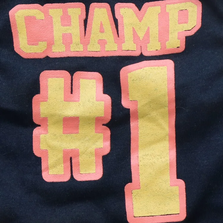 Champion Printed Dog Vest