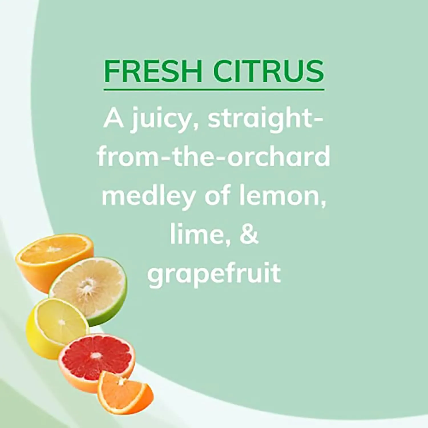 Citrus Magic Solid Air Freshener