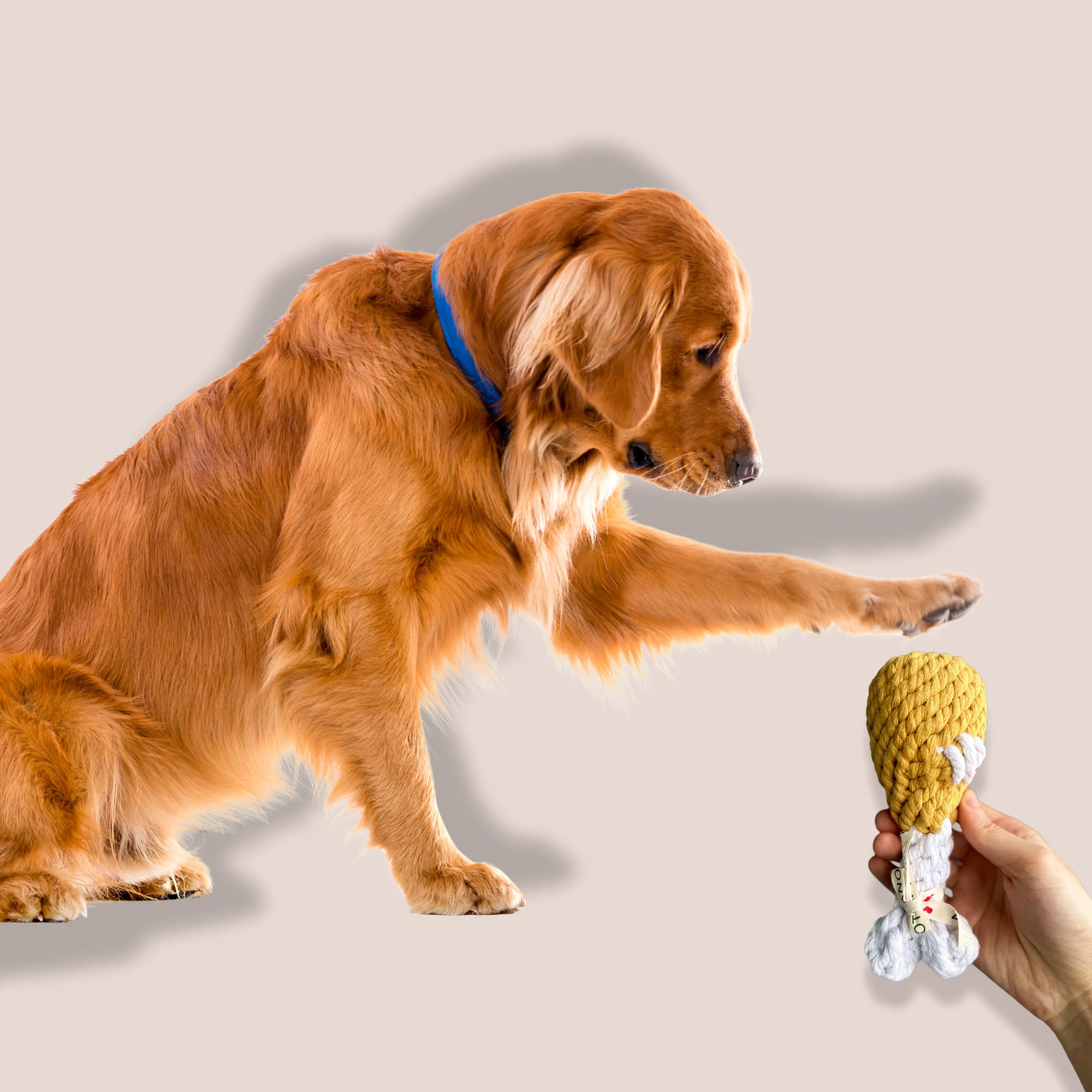 Clucky Drumstick Dog Toy