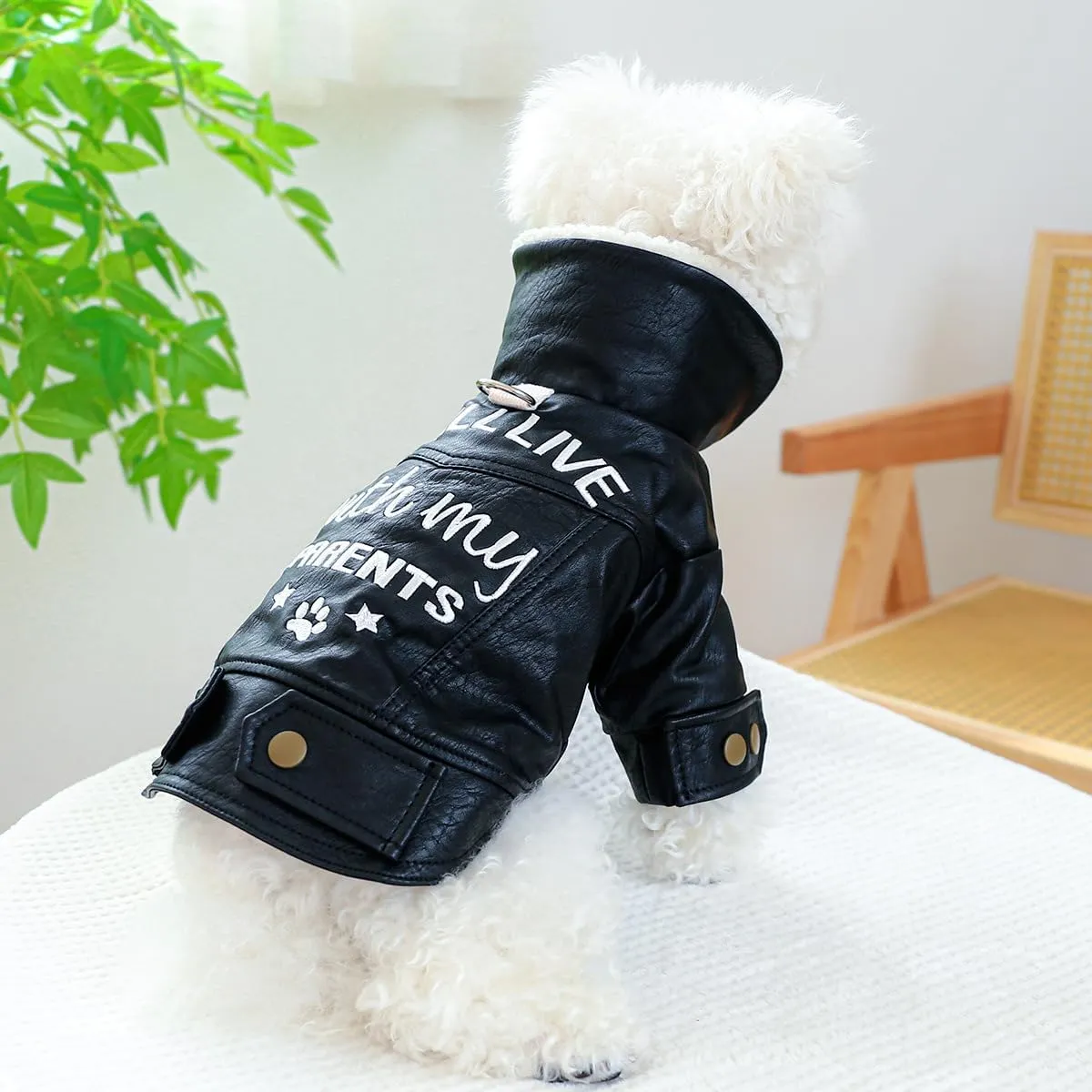 Dog Fleece Lined Jean Jacket Winter Puppy Stylish Cute Clothes Lightweight Warm Small Dog Denim Coat Chihuahua Yorkie Thick Jacket Christmas Holiday Birthday Dog Clothes for Small Dogs