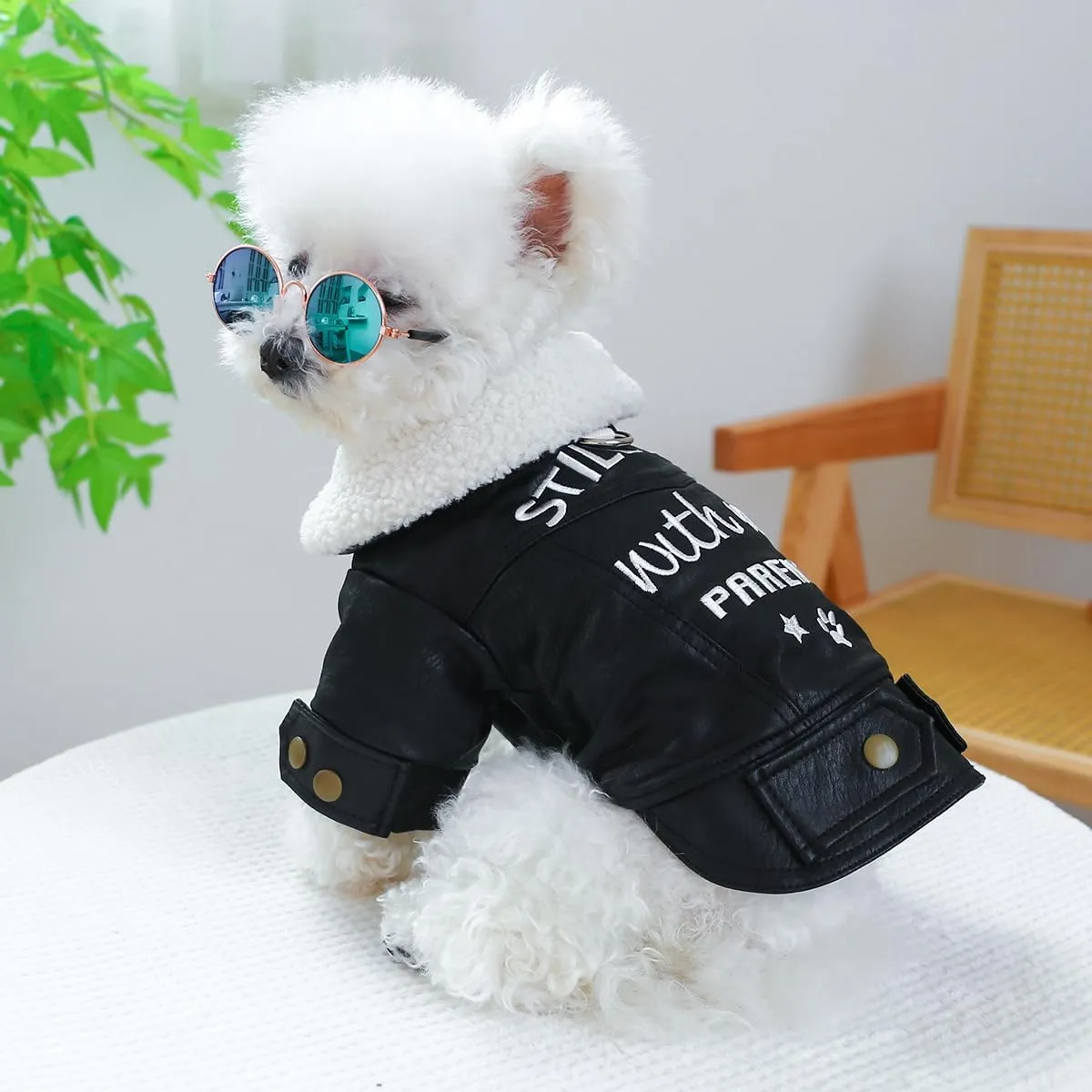 Dog Fleece Lined Jean Jacket Winter Puppy Stylish Cute Clothes Lightweight Warm Small Dog Denim Coat Chihuahua Yorkie Thick Jacket Christmas Holiday Birthday Dog Clothes for Small Dogs