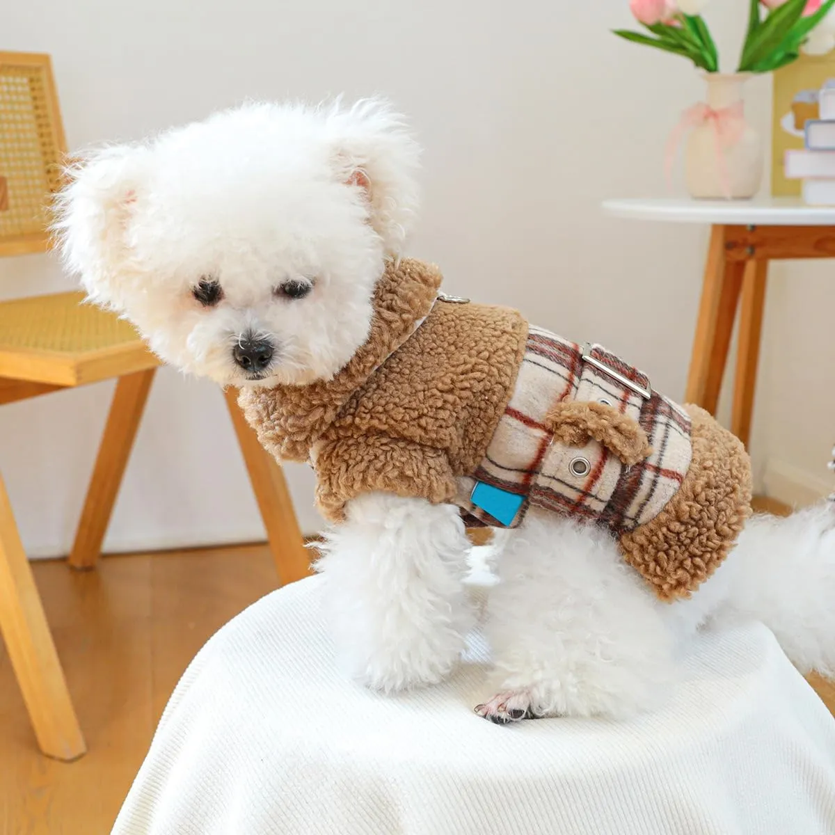 Dog Fleece Lined Jean Jacket Winter Puppy Stylish Cute Clothes Lightweight Warm Small Dog Denim Coat Chihuahua Yorkie Thick Jacket Christmas Holiday Birthday Dog Clothes for Small Dogs