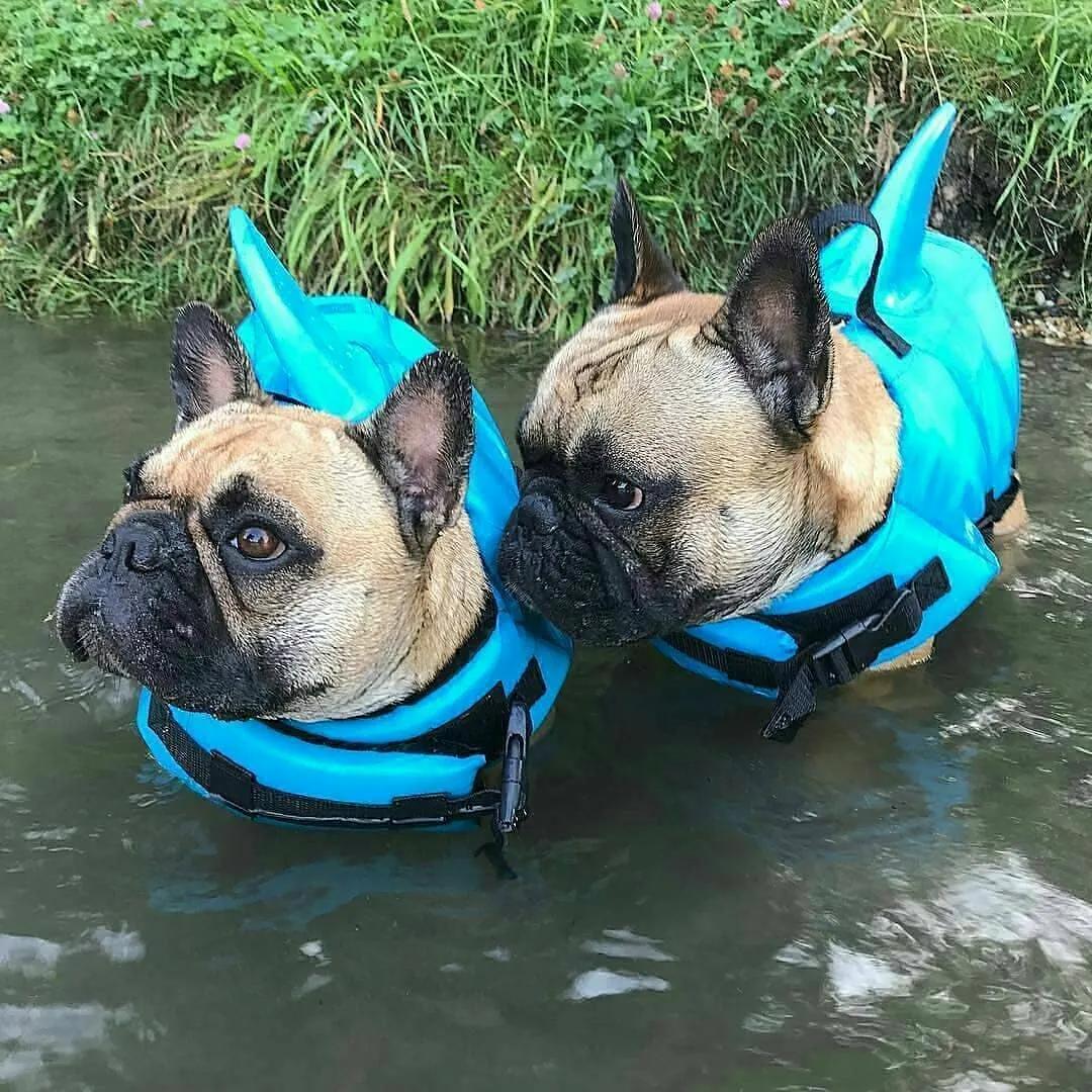 Dog Life Vest
