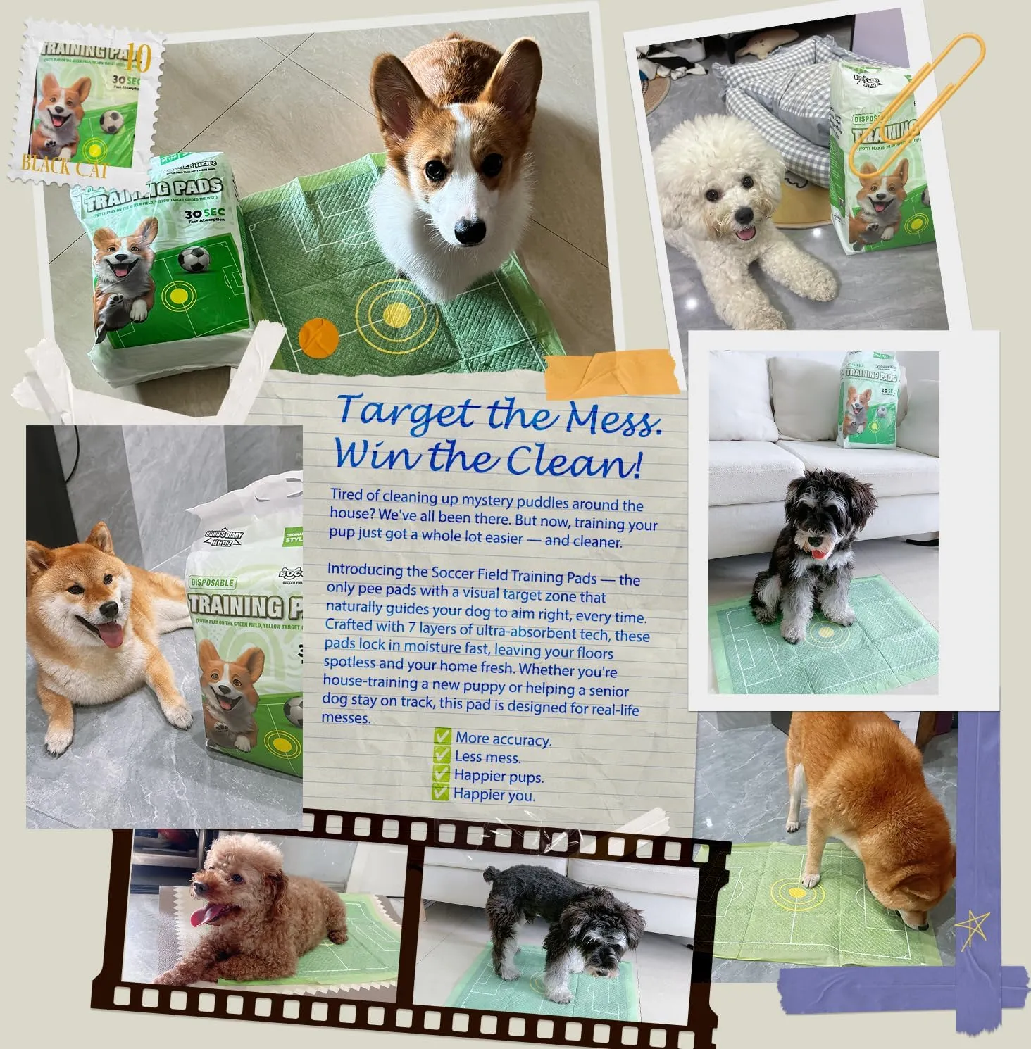 Dog Training Pads, Extra Thick Leak-Proof Pee Pads for Puppies and Senior Dogs  5-Layer Absorbent Core, Fast Drying & Odor Lock ([Bullseye Induction],M: 18 * 24 in,1)