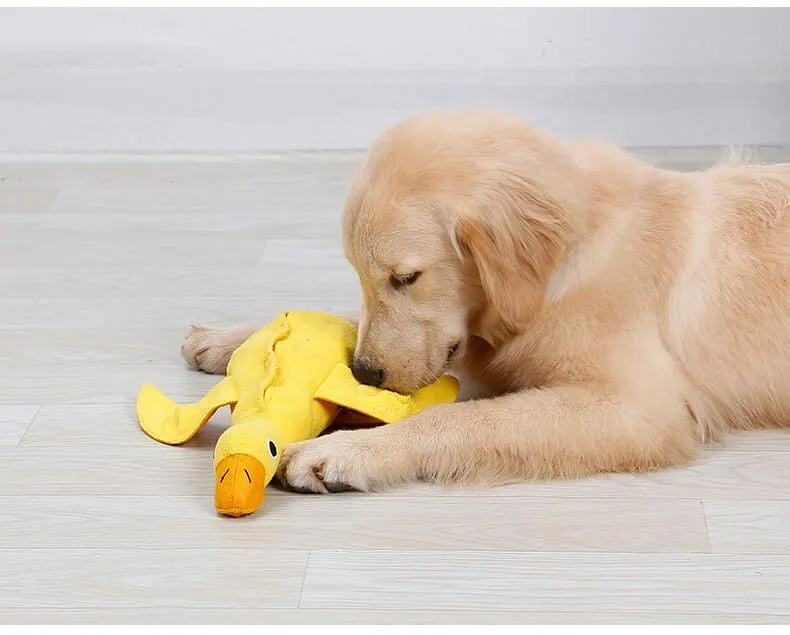 Duck-shaped Squeaky Pet Chew Toy