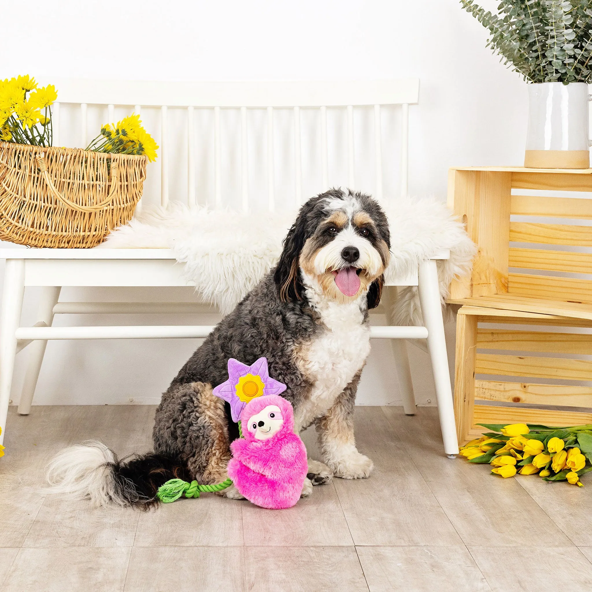 Fringe Bloom Bloom Sloth Dog Toy