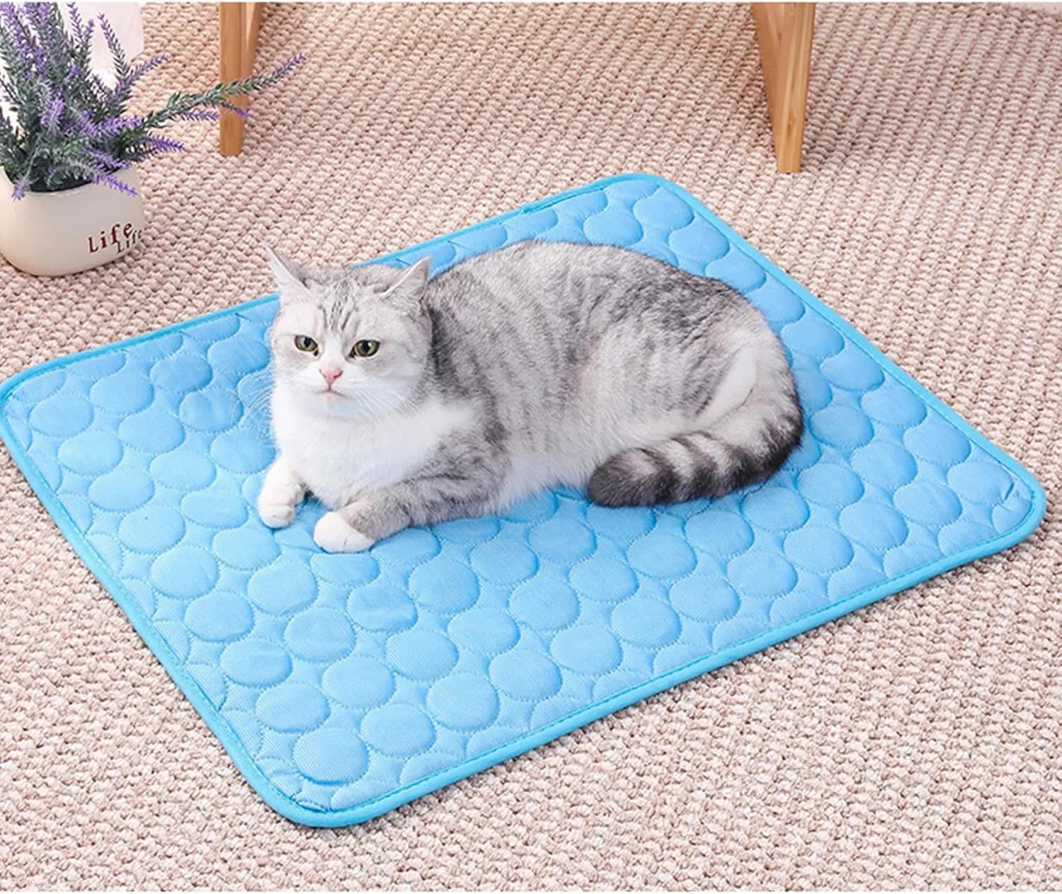 Furry Basics Dog Cooling Mat, Furrybasics Coolingmat, Summer Indoor Dog Cooling Pad, Pet Ice Silk Self Coolpad, Washable for Small Medium Large Dogs and Cat (Blue, X-Large)