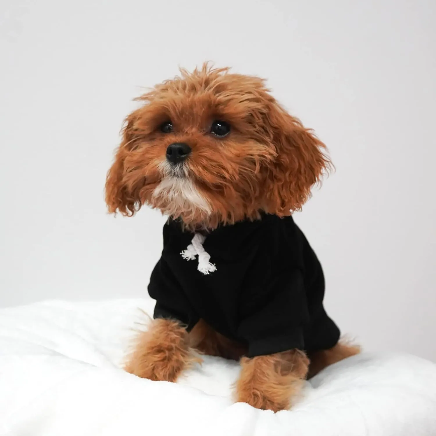 Game Day Football Dog Hoodie Fleece Lined Pullover Sweatshirt with Leash Hole (Black, X-Small 323)