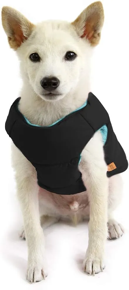 Gooby Padded Vest Dog Jacket - Solid Black, Medium - Warm Zip Up Vest Fleece Jacket with Dual D Ring Leash - Water Resistant Sweater - Clothes for Small and Medium Dogs