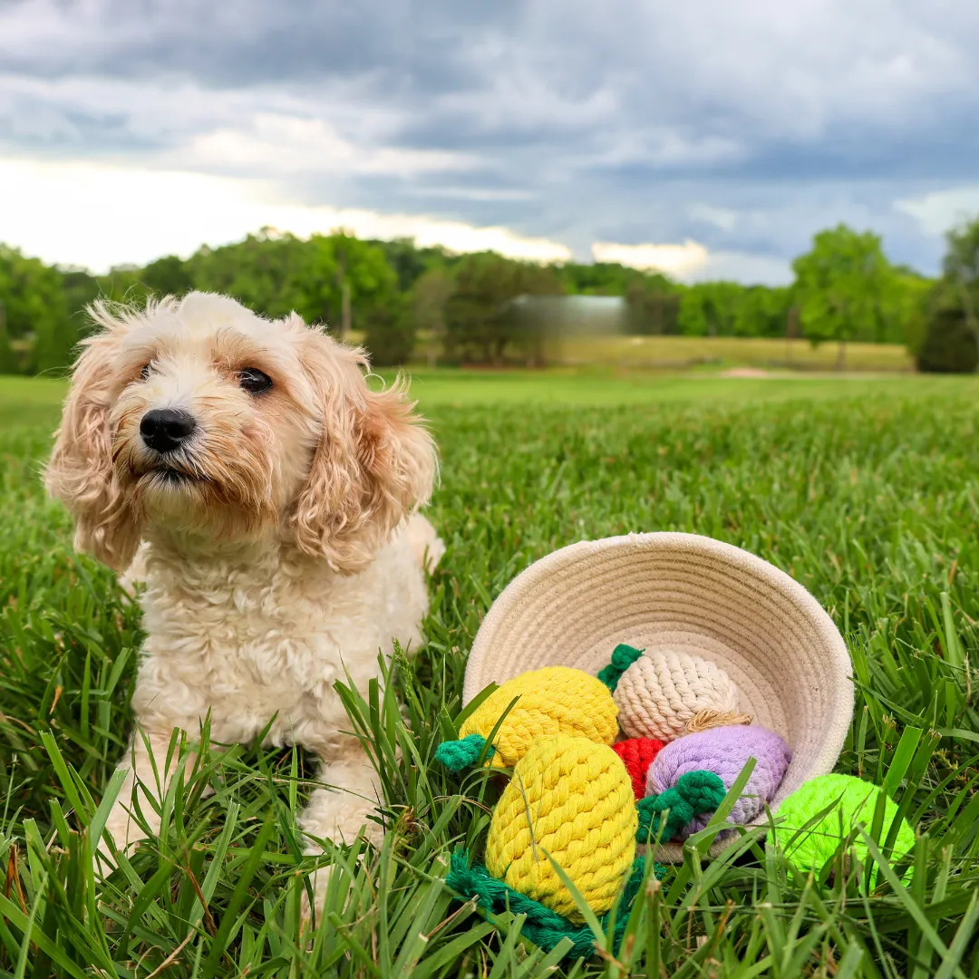 Handmade Banana Rope Toy
