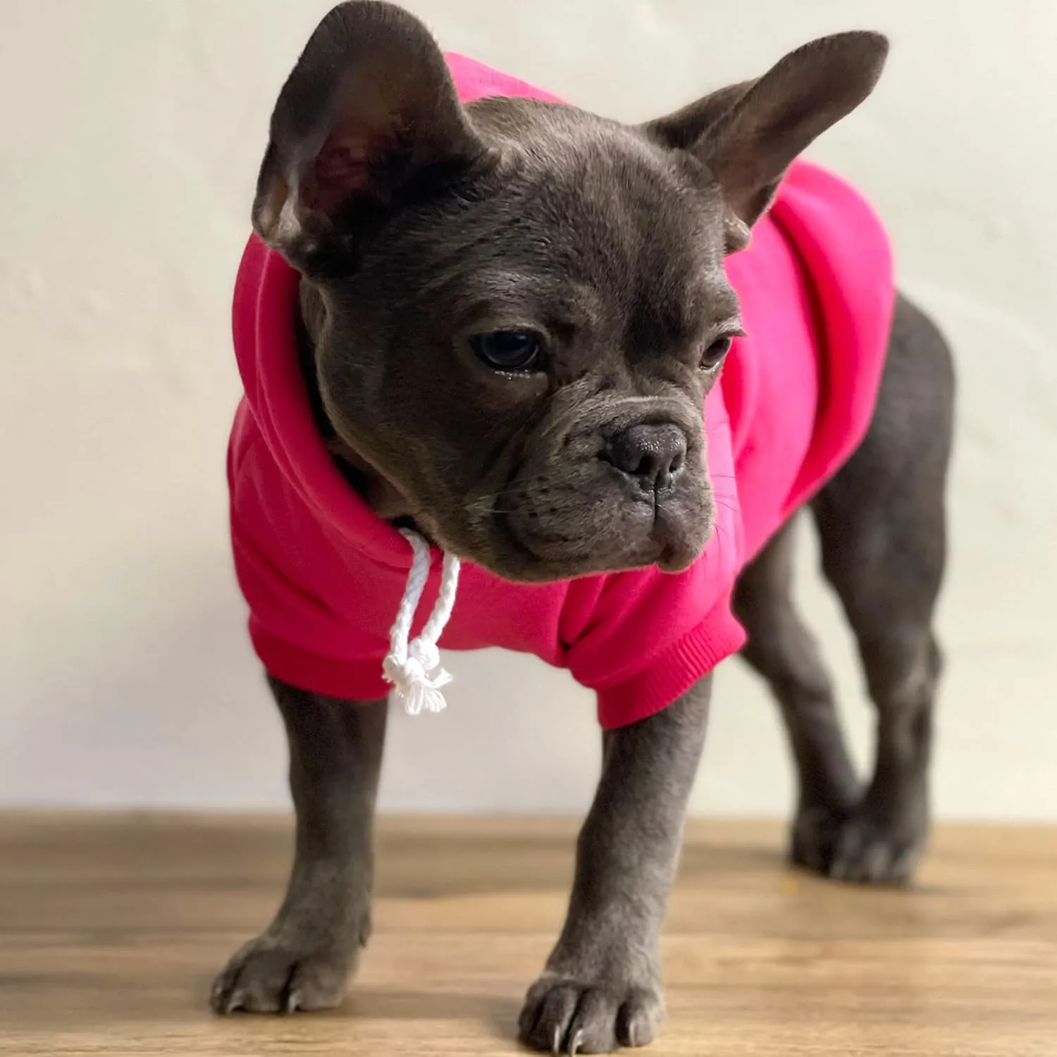 Happy Easter Dog Hoodie Fleece Lined Pullover Sweatshirt with Leash Hole (Baby Pink, X-Large 1216)