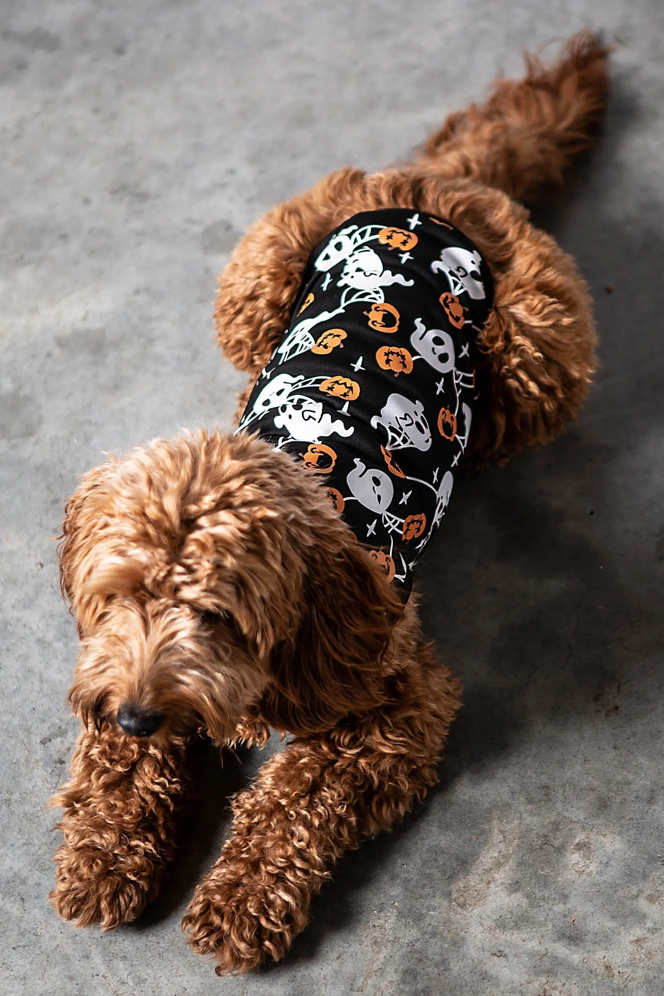 Haunted Pumpkin Pet Vest