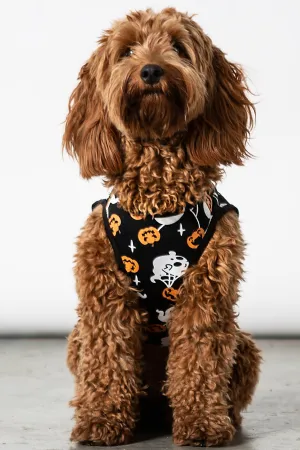Haunted Pumpkin Pet Vest