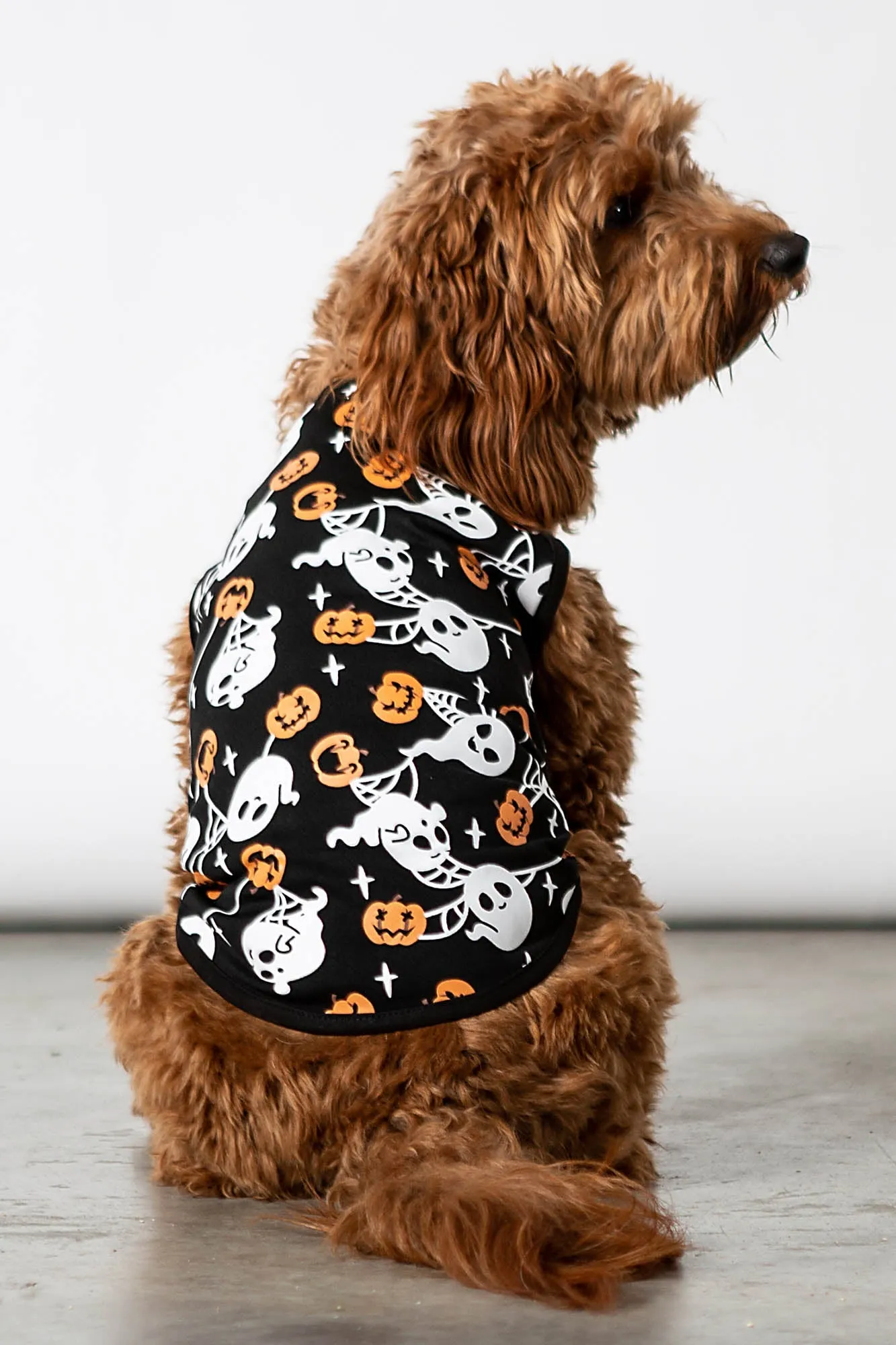 Haunted Pumpkin Pet Vest