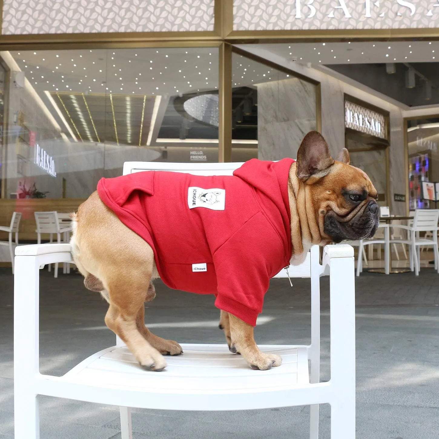 iChoue French Bulldog Frenchie Clothes Hoodies for Dogs Pug English Boston Terrier Bully Pitbull Corgi Sweatshirt Sweater Clothing - Dark Red/Large Plus