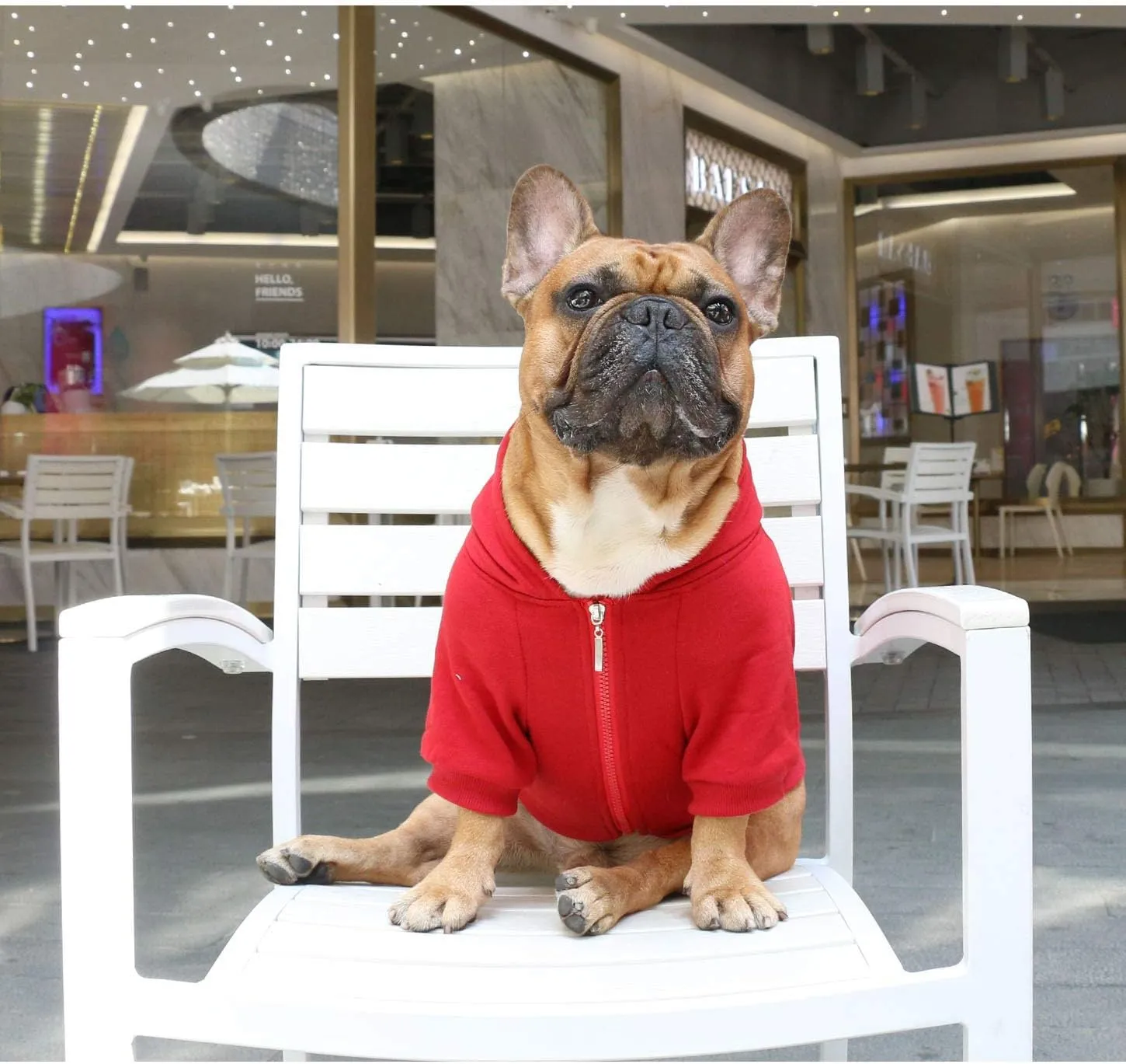 iChoue French Bulldog Frenchie Clothes Hoodies for Dogs Pug English Boston Terrier Bully Pitbull Corgi Sweatshirt Sweater Clothing - Dark Red/Large Plus