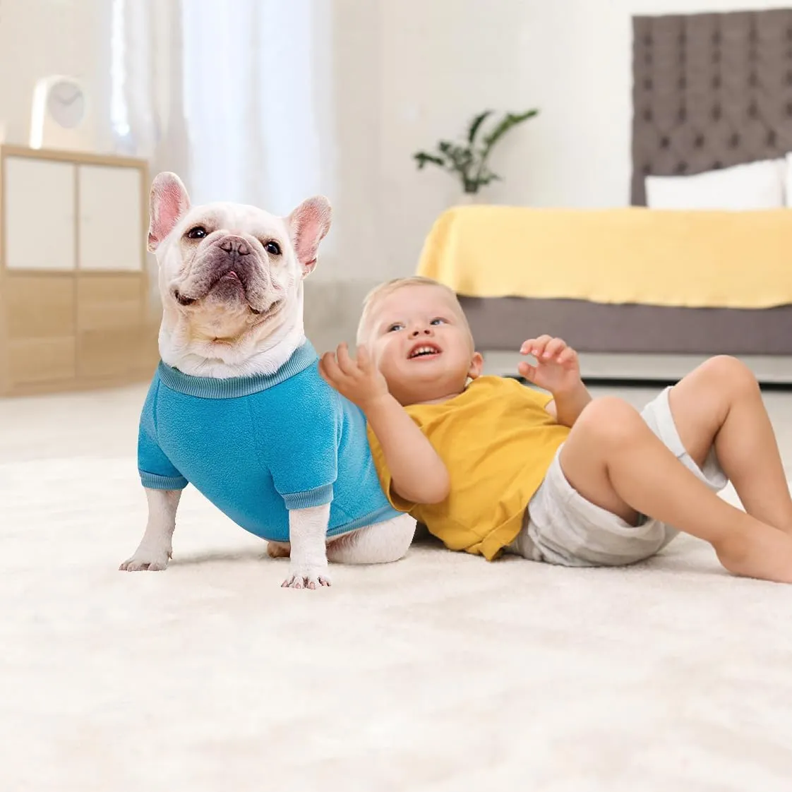 Idepet Dog Fleece Sweater, Small Dogs Shirt Pullover Sweatshirt Pet Dog Clothes Soft Puppy Sweater Warm Winter Shirt Classic Cat Apparel for Small Dogs and Cats (X-Small, Blue)