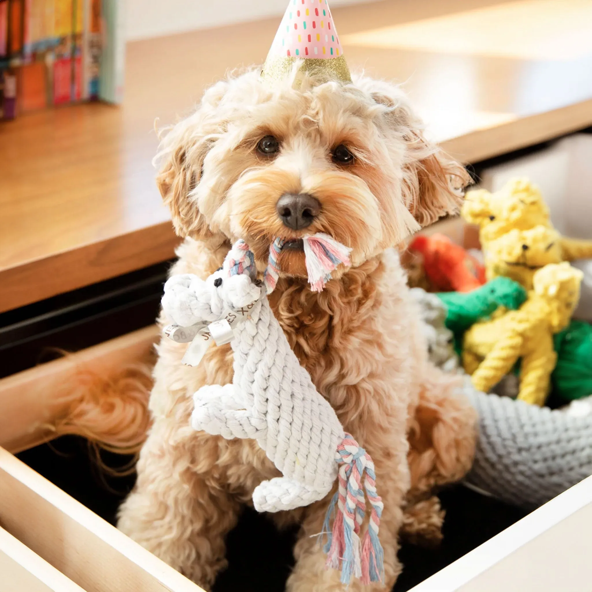 Jax & Bones Unicorn Rope Dog Toy
