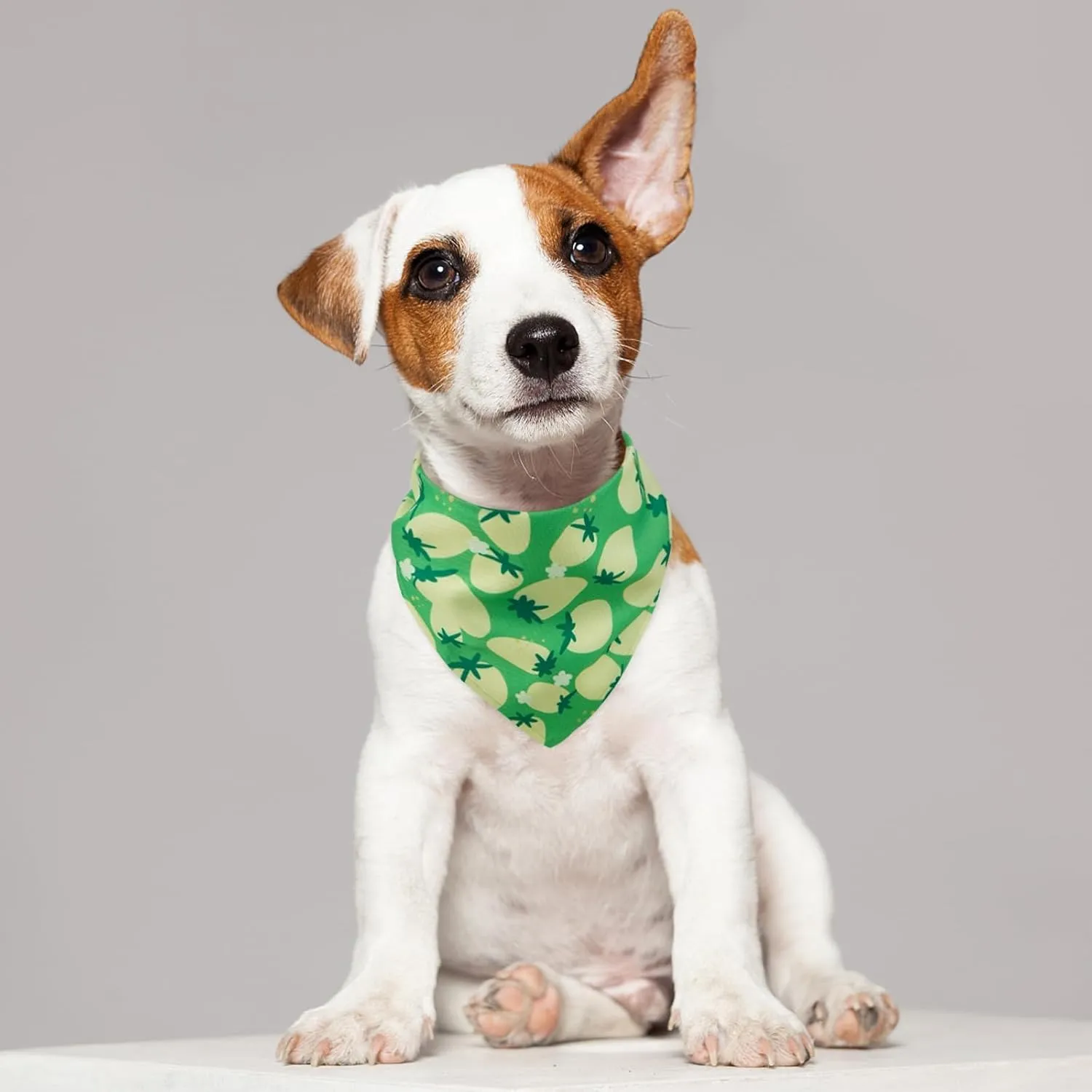 Kuoser Dog Bandanas, Triangle Reversible Fruit Print Pet Bandanas for Boy and Girl, All Seasons Bandana for Small Medium and Large, Green L