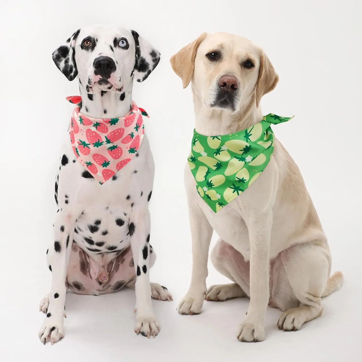 Kuoser Dog Bandanas, Triangle Reversible Fruit Print Pet Bandanas for Boy and Girl, All Seasons Bandana for Small Medium and Large, Green L
