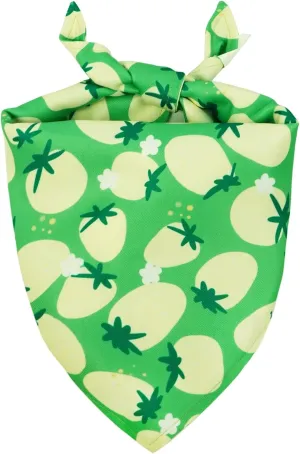 Kuoser Dog Bandanas, Triangle Reversible Fruit Print Pet Bandanas for Boy and Girl, All Seasons Bandana for Small Medium and Large, Green L