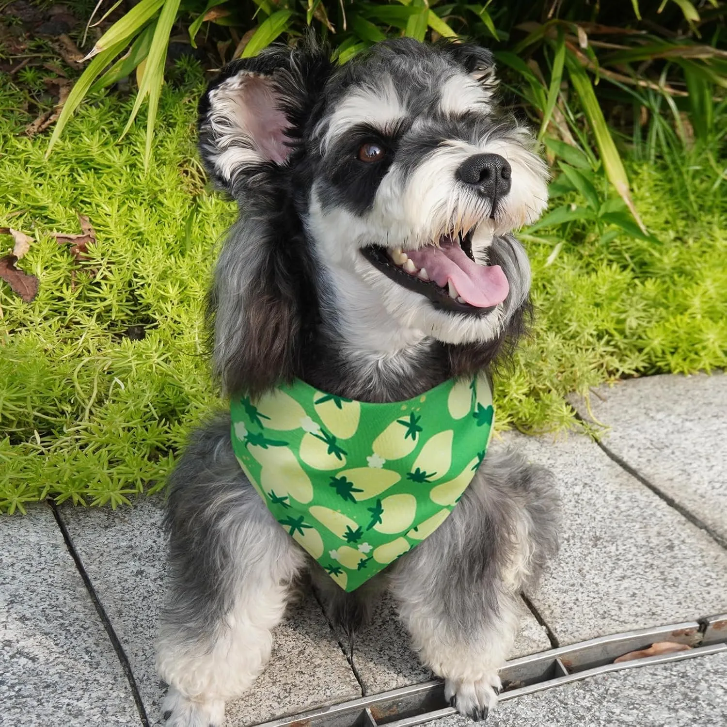 Kuoser Dog Bandanas, Triangle Reversible Fruit Print Pet Bandanas for Boy and Girl, All Seasons Bandana for Small Medium and Large, Green L
