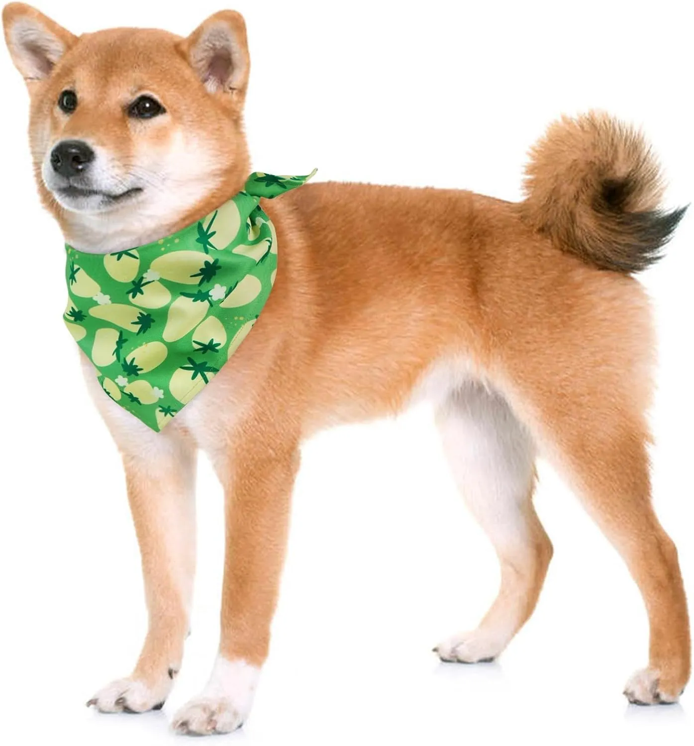 Kuoser Dog Bandanas, Triangle Reversible Fruit Print Pet Bandanas for Boy and Girl, All Seasons Bandana for Small Medium and Large, Green L