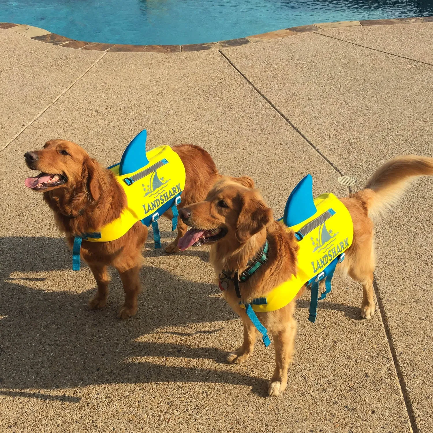 Land Shark Pet Life Vest