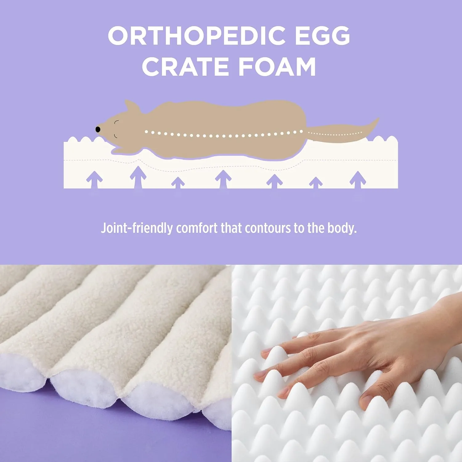 Lesure Orthopedic Dog Bed Sofa for Large Dogs, Waterproof Dog Couch with Removable Washable Cover, Cute Aesthetic Pet Sofa Couch with Egg Crate Foam (Cream, 41.0" L x 29.0" W x 11.0" Th)