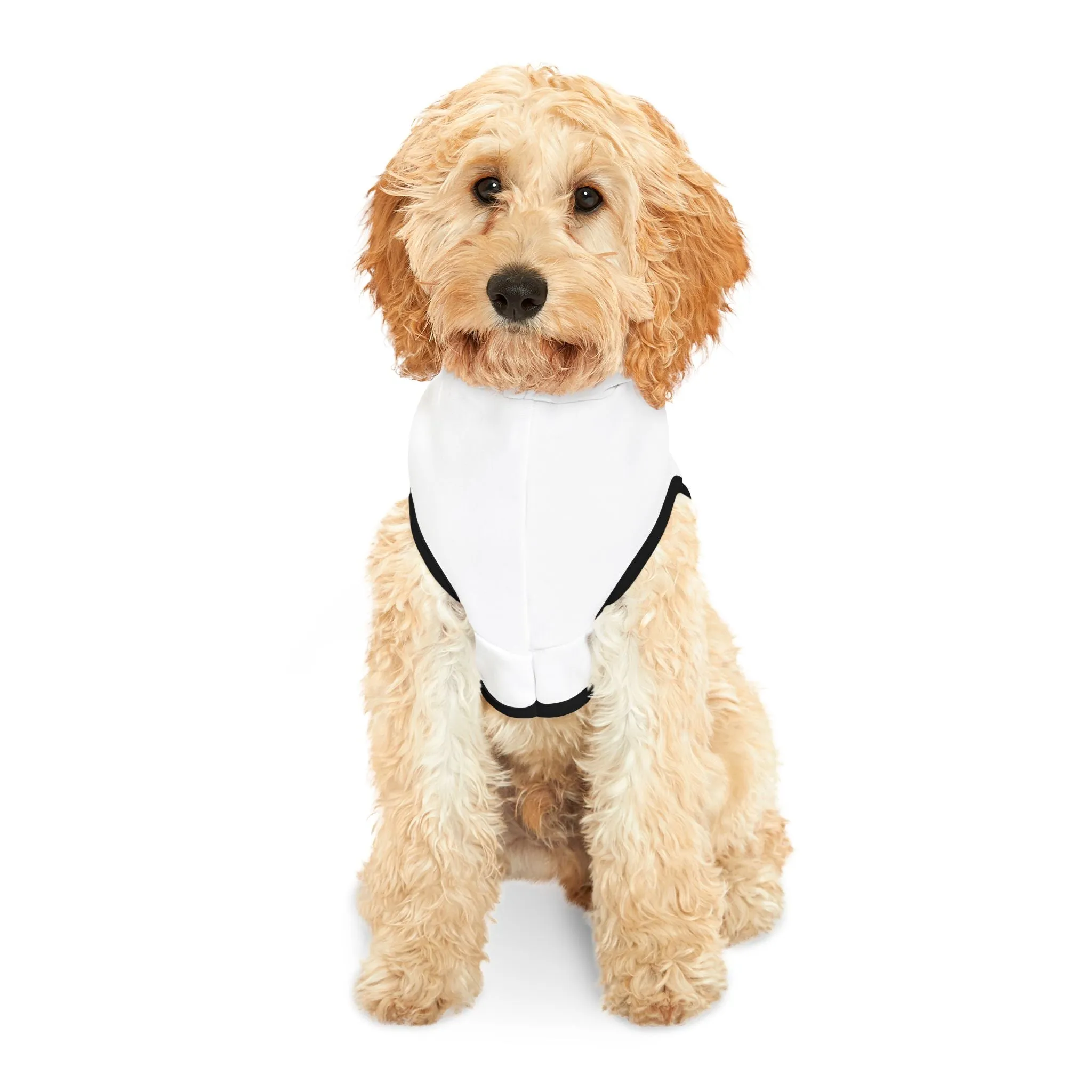 Life is better with paws Pet Hoodie
