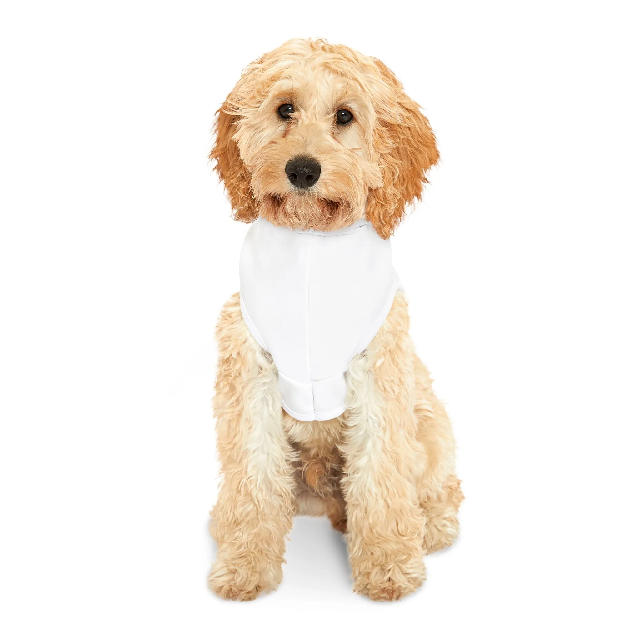Life is better with paws Pet Hoodie