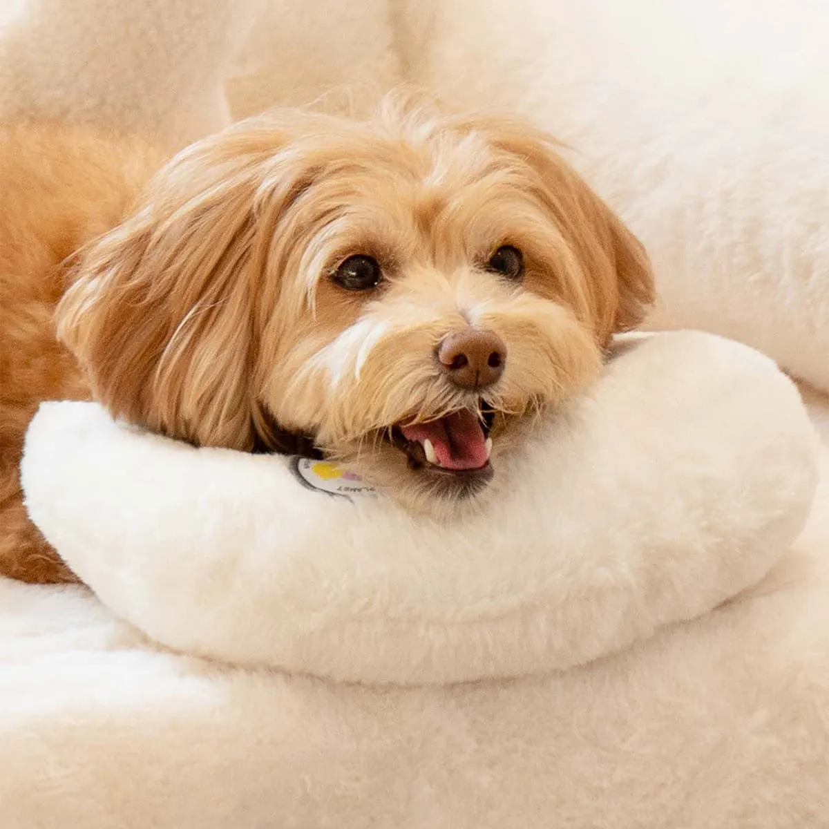 Macaron Pet Pillow