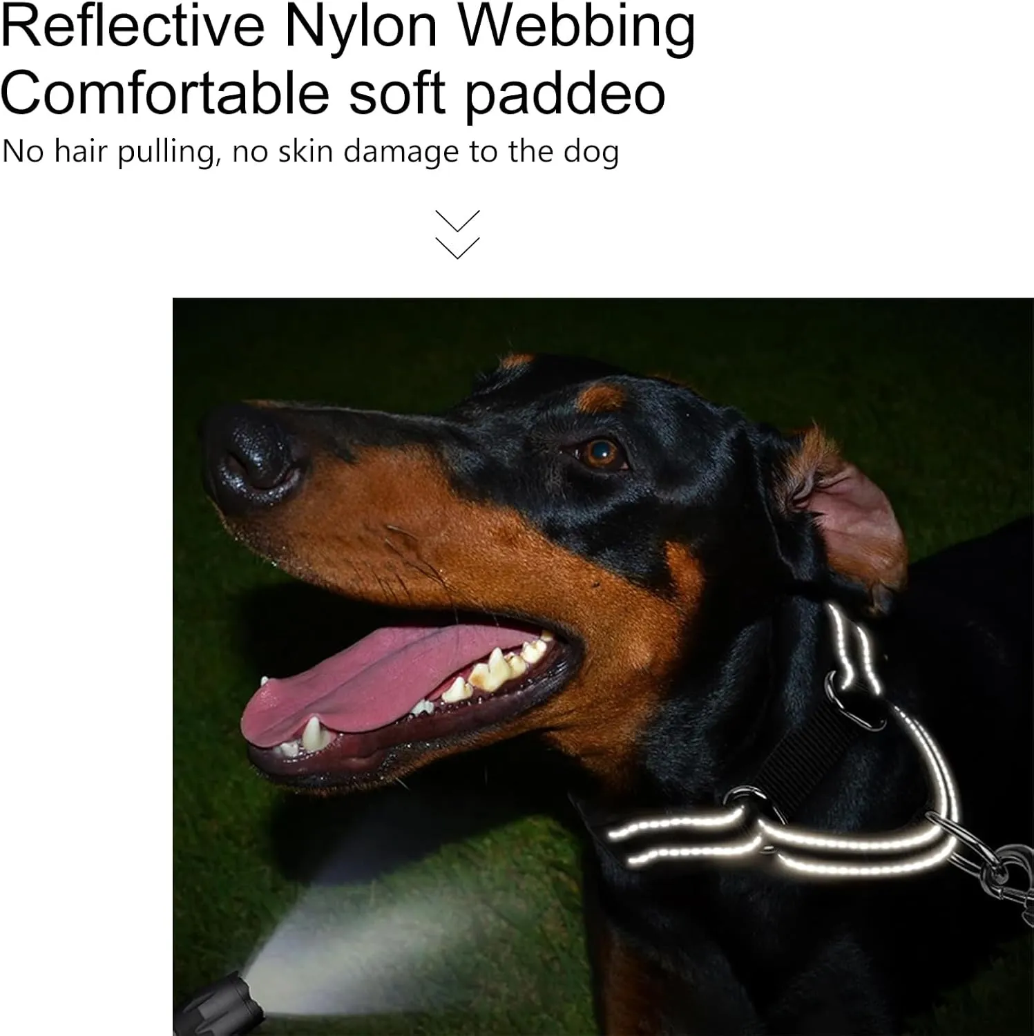 Martingale Dog Collar Reflective Nylon Soft Cushion with Alloy Buckle Dog Collar Martingale Small Medium and Large Dogs (Large, Black)