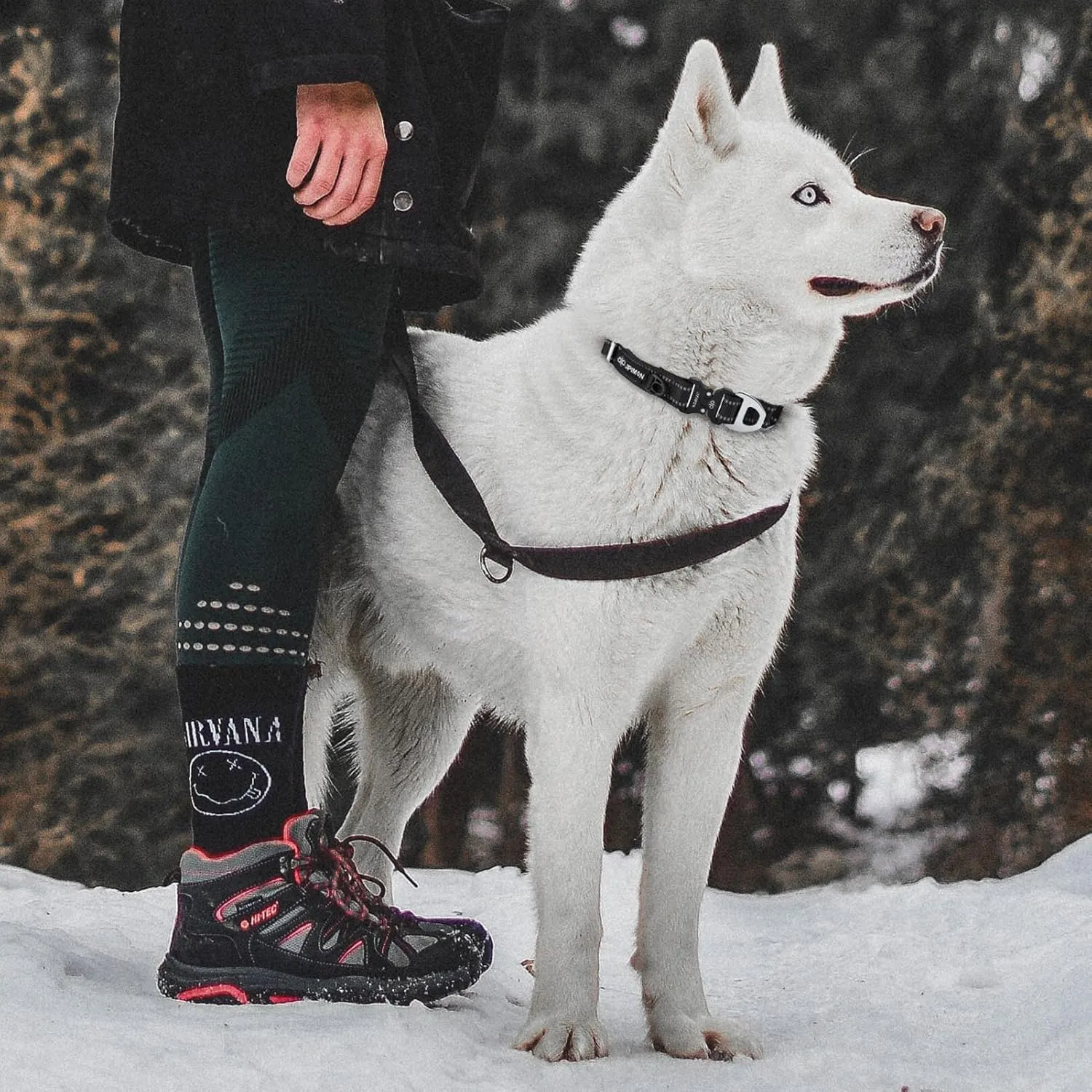 Martingale Dog Collar Reflective Nylon Soft Cushion with Alloy Buckle Dog Collar Martingale Small Medium and Large Dogs (Large, Black)