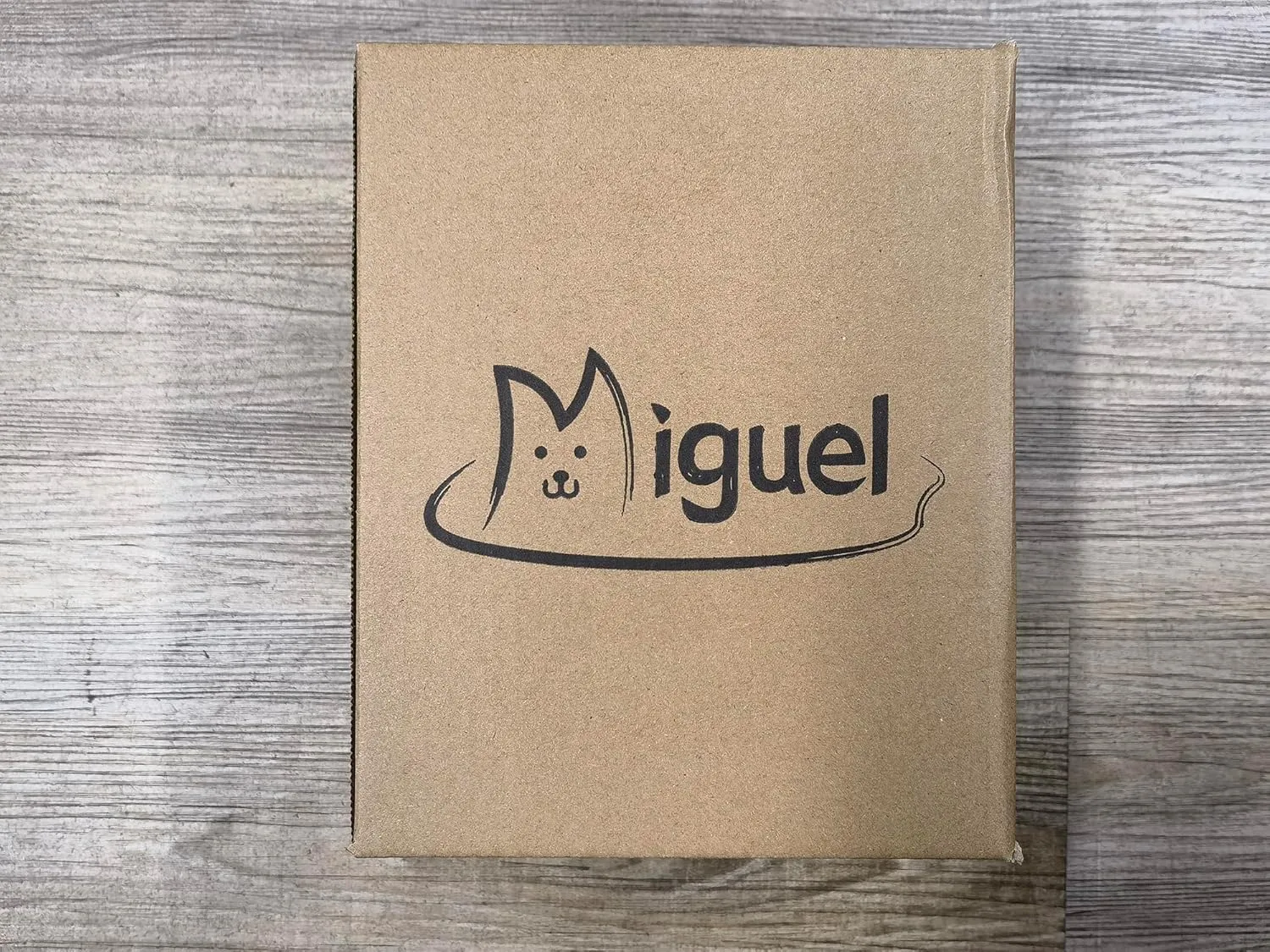 Miguel Outdoor Waterproof Cat Bed with Side, Oxford Durable Dog Bed for Small Dog Easy Clean, All Weather Rectangle Medium Pet Bed Bolster Tough Puppy Bed Scratch Resistant Removable Cover, 20 inches