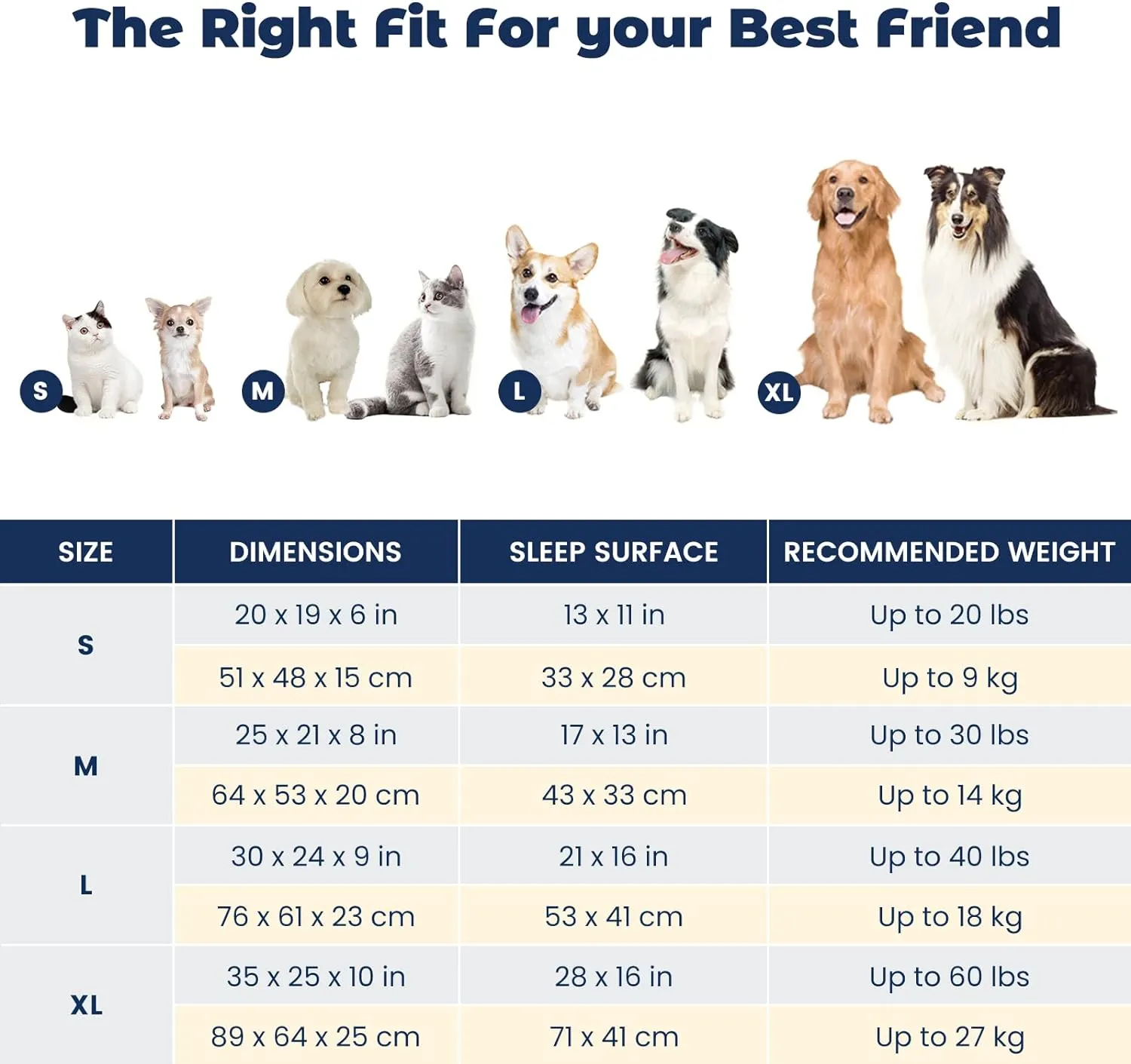 Miguel Outdoor Waterproof Cat Bed with Side, Oxford Durable Dog Bed for Small Dog Easy Clean, All Weather Rectangle Medium Pet Bed Bolster Tough Puppy Bed Scratch Resistant Removable Cover, 20 inches